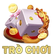 Biểu tượng giấy phép và quy định